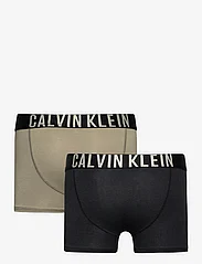 Calvin Klein - 2PK TRUNK - apatinės kelnaitės - moldedclay/pvhblack - 1