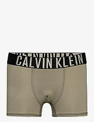 Calvin Klein - 2PK TRUNK - majtki - moldedclay/pvhblack - 2