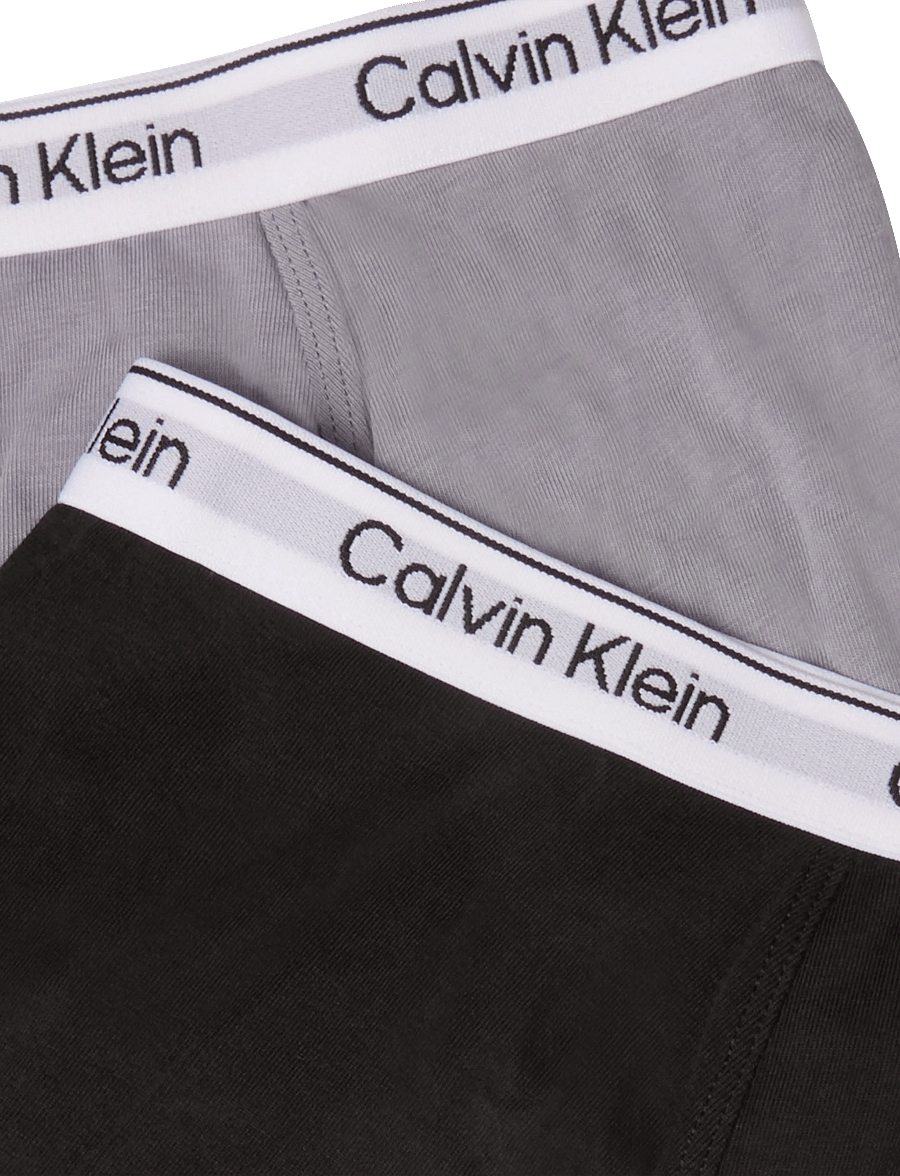 Calvin Klein - 2PK TRUNK - kalsonger - blk quicksilver - 2