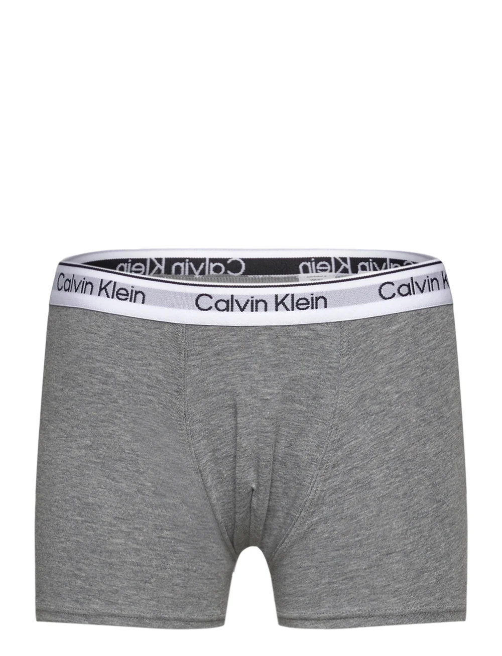 Calvin Klein - 2PK TRUNK - underbukser - bluebell/greyheather - 3