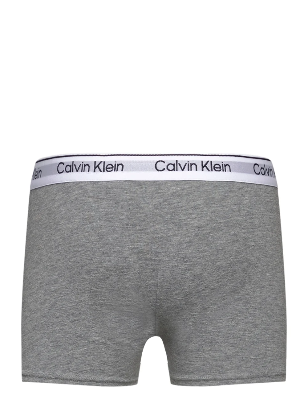 Calvin Klein - 2PK TRUNK - underbukser - bluebell/greyheather - 4