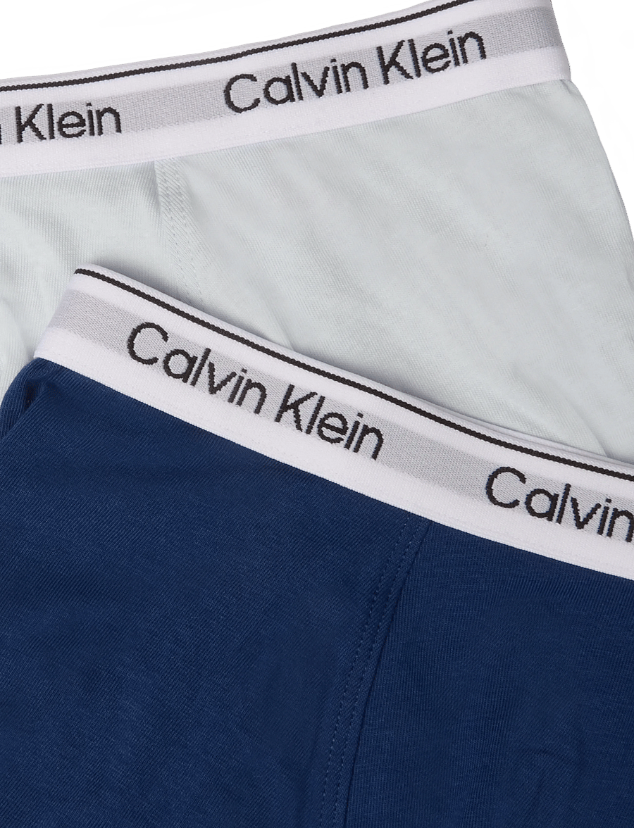 Calvin Klein - 2PK TRUNK - apakšbikses - estateblue pleinair - 2