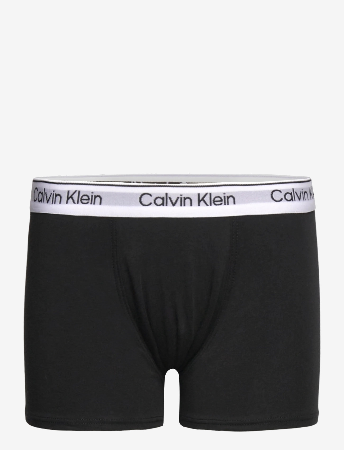 Calvin Klein - 2PK TRUNK - onderbroeken - granitegrey/pvhblack - 2