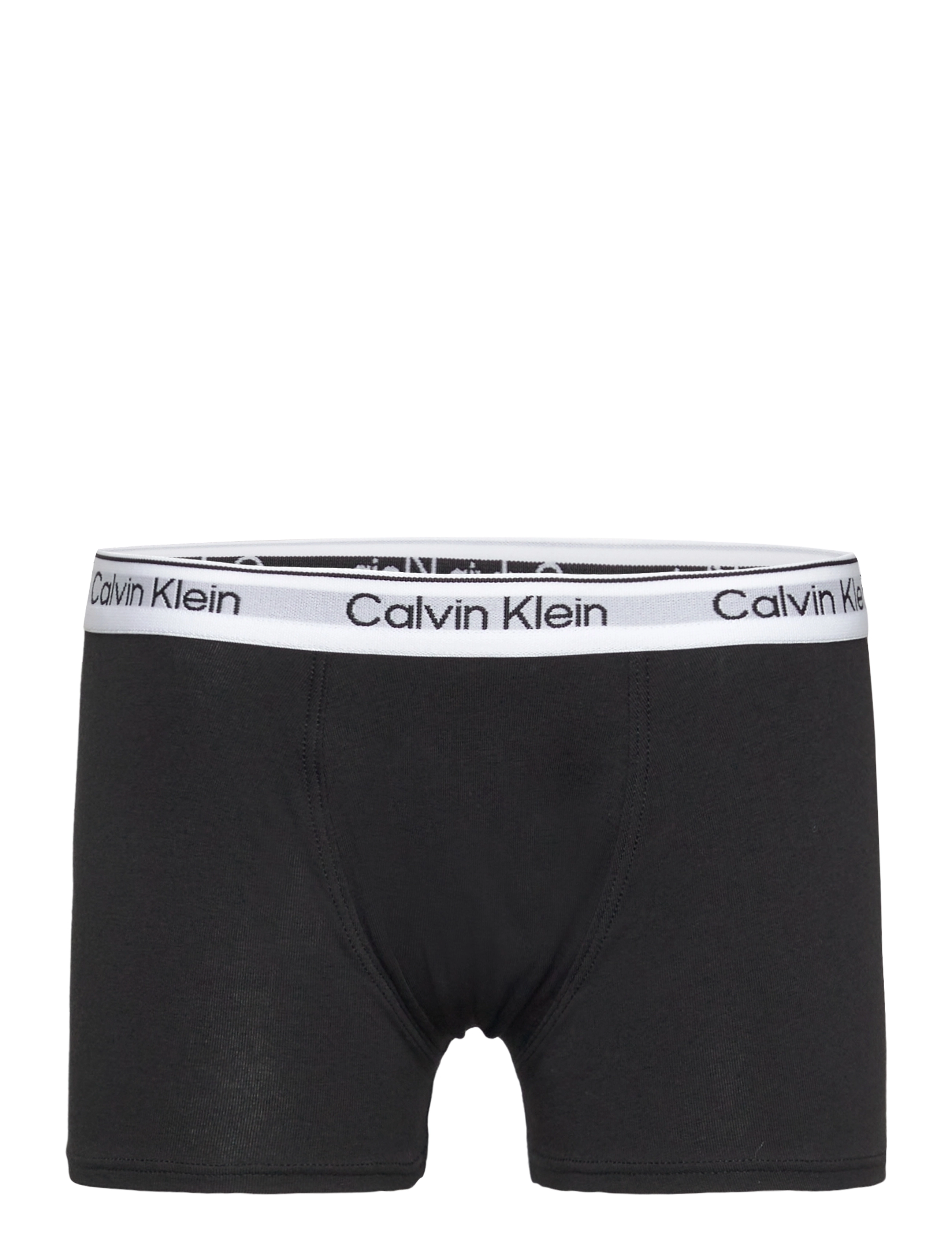 Calvin Klein - 2PK TRUNK - unterteile - pvhblack blackiris - 2