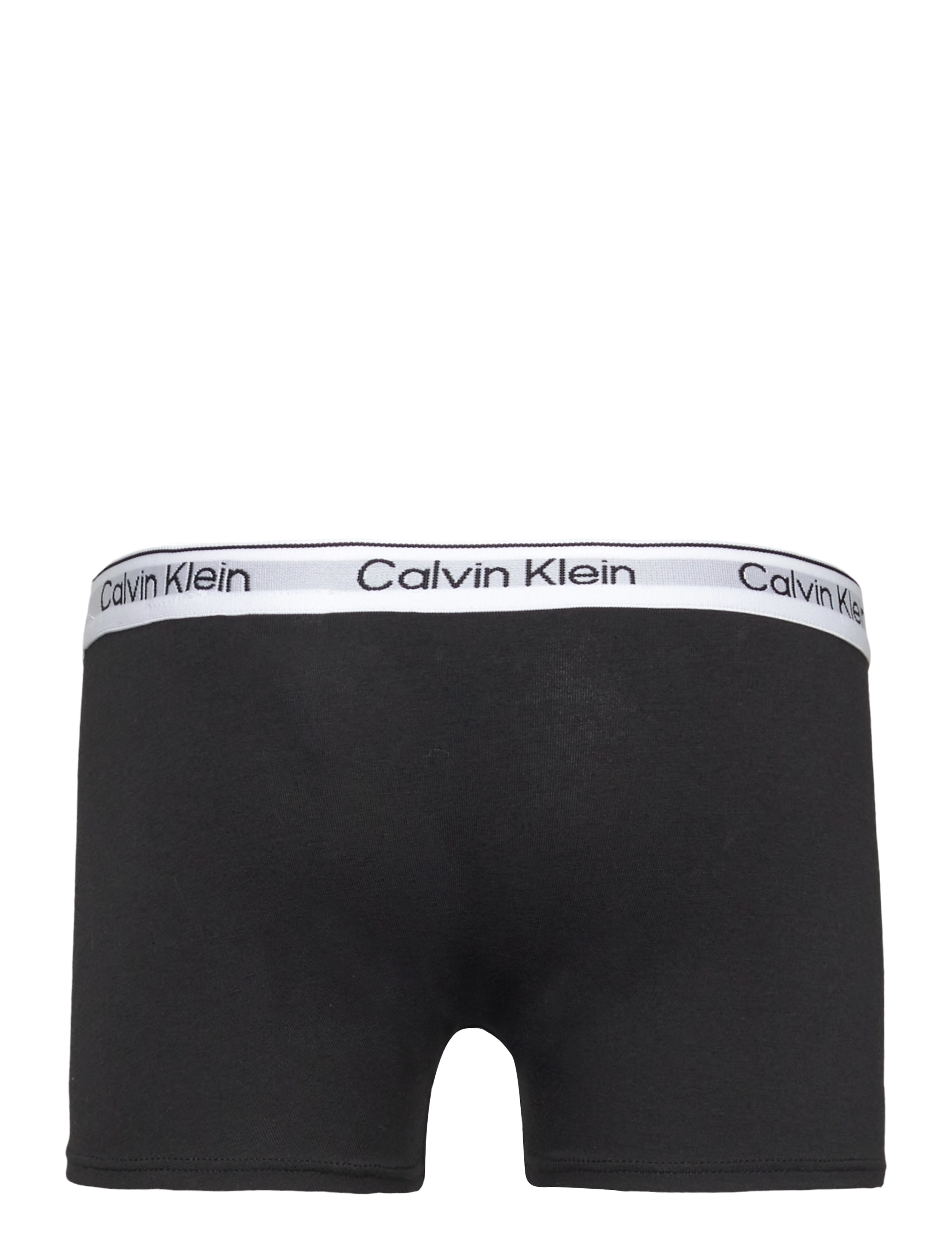 Calvin Klein - 2PK TRUNK - unterteile - pvhblack blackiris - 3