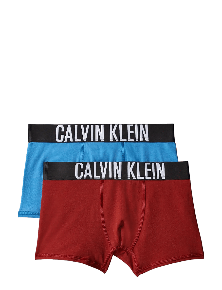 Calvin Klein - 2PK TRUNK - underpants - vallartablue firedbrick - 0