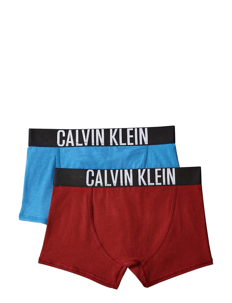 Calvin Klein - 2PK TRUNK - underpants - vallartablue firedbrick - 1