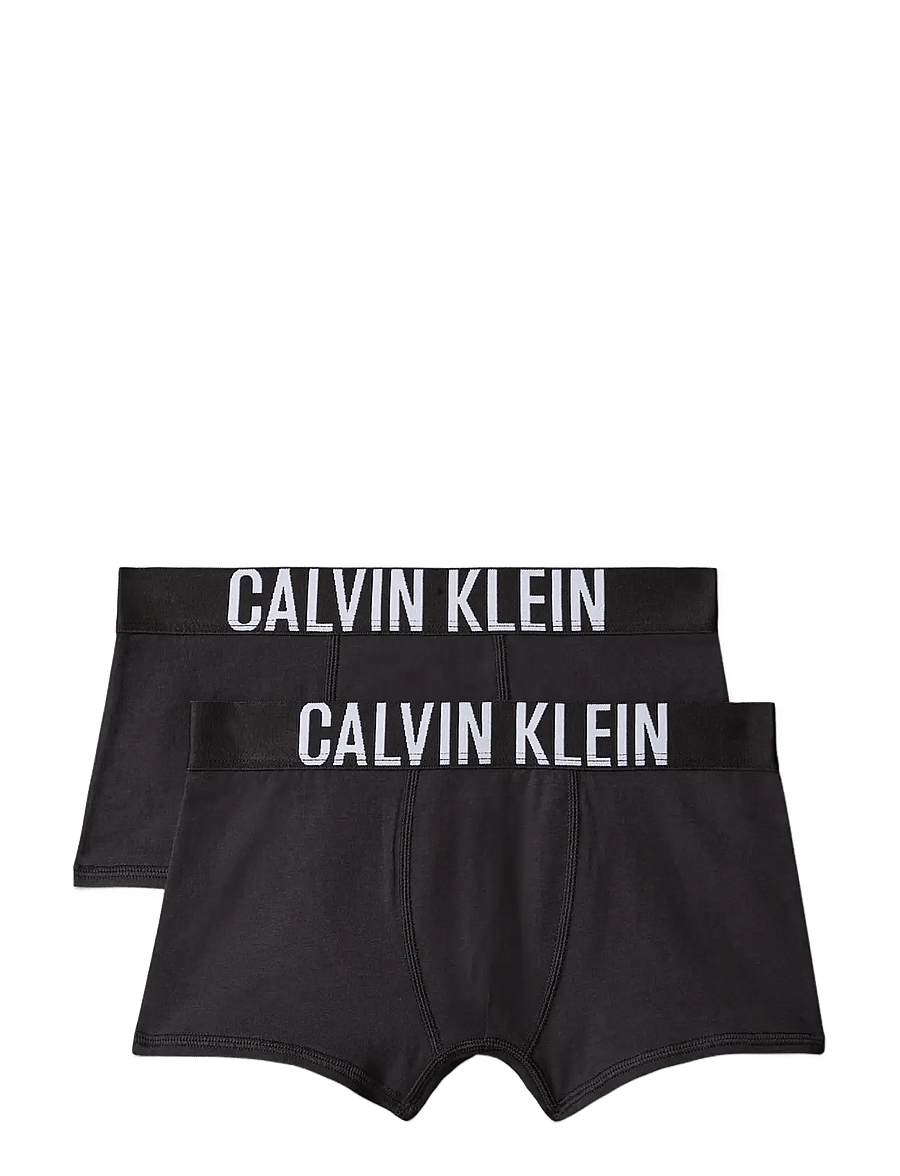 Calvin Klein - 2PK TRUNK - underpants - blk blk - 0