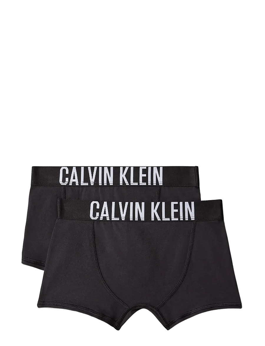 Calvin Klein - 2PK TRUNK - underpants - blk blk - 1