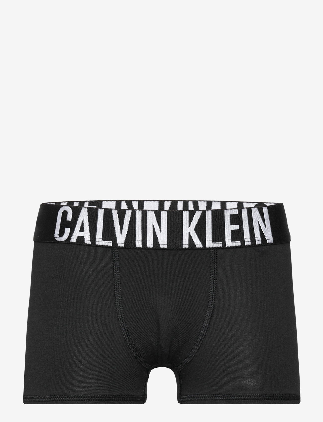 Calvin Klein - 2PK TRUNK - apatinės kelnaitės - ckblack ckblack - 2