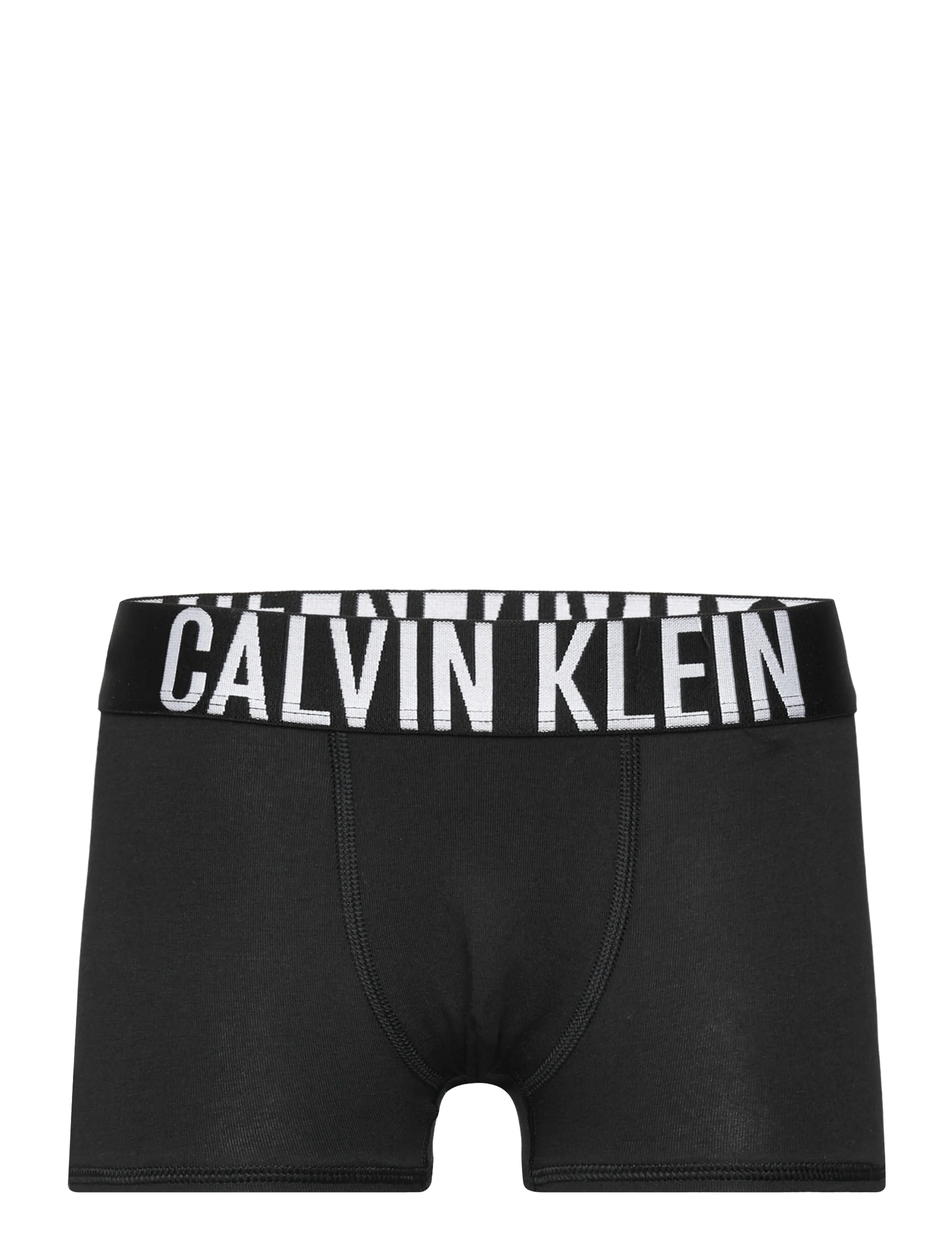 Calvin Klein - 2PK TRUNK - unterhosen - ckblack ckblack - 2