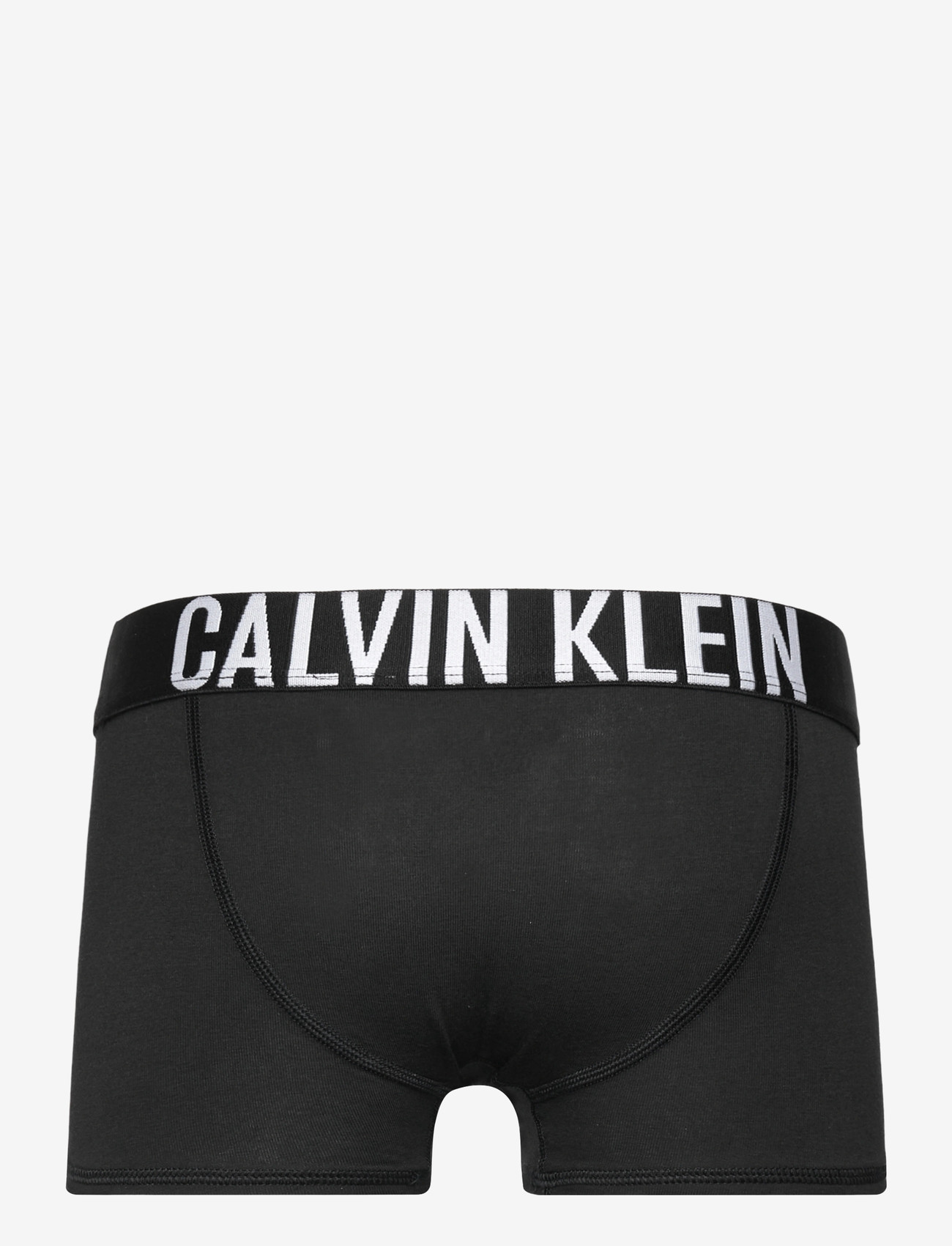 Calvin Klein - 2PK TRUNK - apatinės kelnaitės - ckblack ckblack - 3