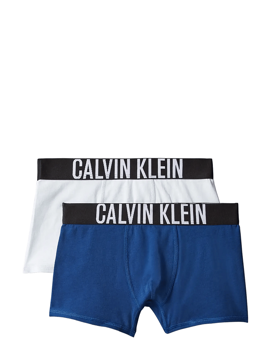 Calvin Klein - 2PK TRUNK - nærbuxur - estateblue pleinair - 0