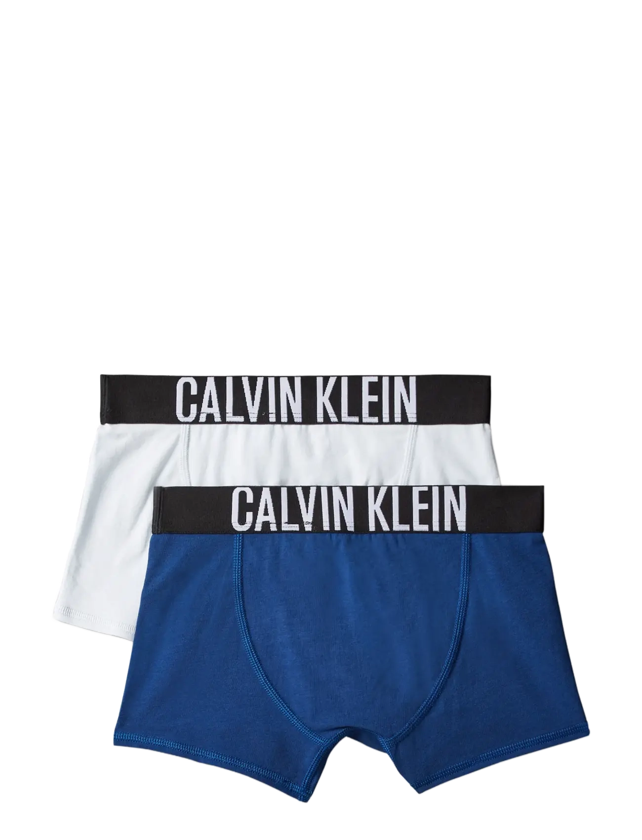 Calvin Klein - 2PK TRUNK - unterhosen - estateblue pleinair - 1