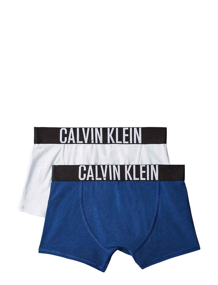 Calvin Klein - 2PK TRUNK - nærbuxur - estateblue pleinair - 1