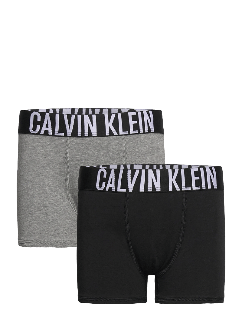 Calvin Klein - 2PK TRUNK - unterhosen - pvhblack/greyheather - 0