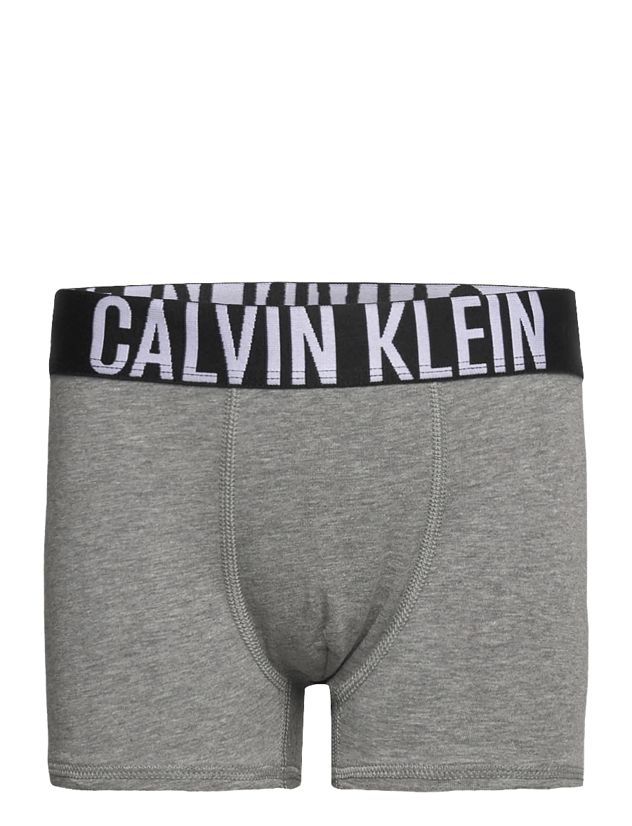 Calvin Klein - 2PK TRUNK - aluspüksid - pvhblack greyheather - 2