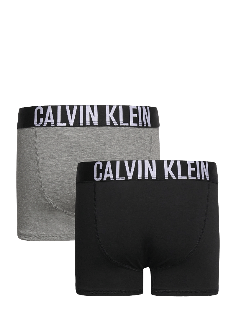 Calvin Klein - 2PK TRUNK - unterhosen - pvhblack/greyheather - 1