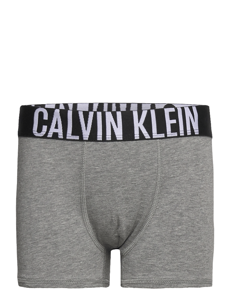 Calvin Klein - 2PK TRUNK - unterhosen - pvhblack/greyheather - 2