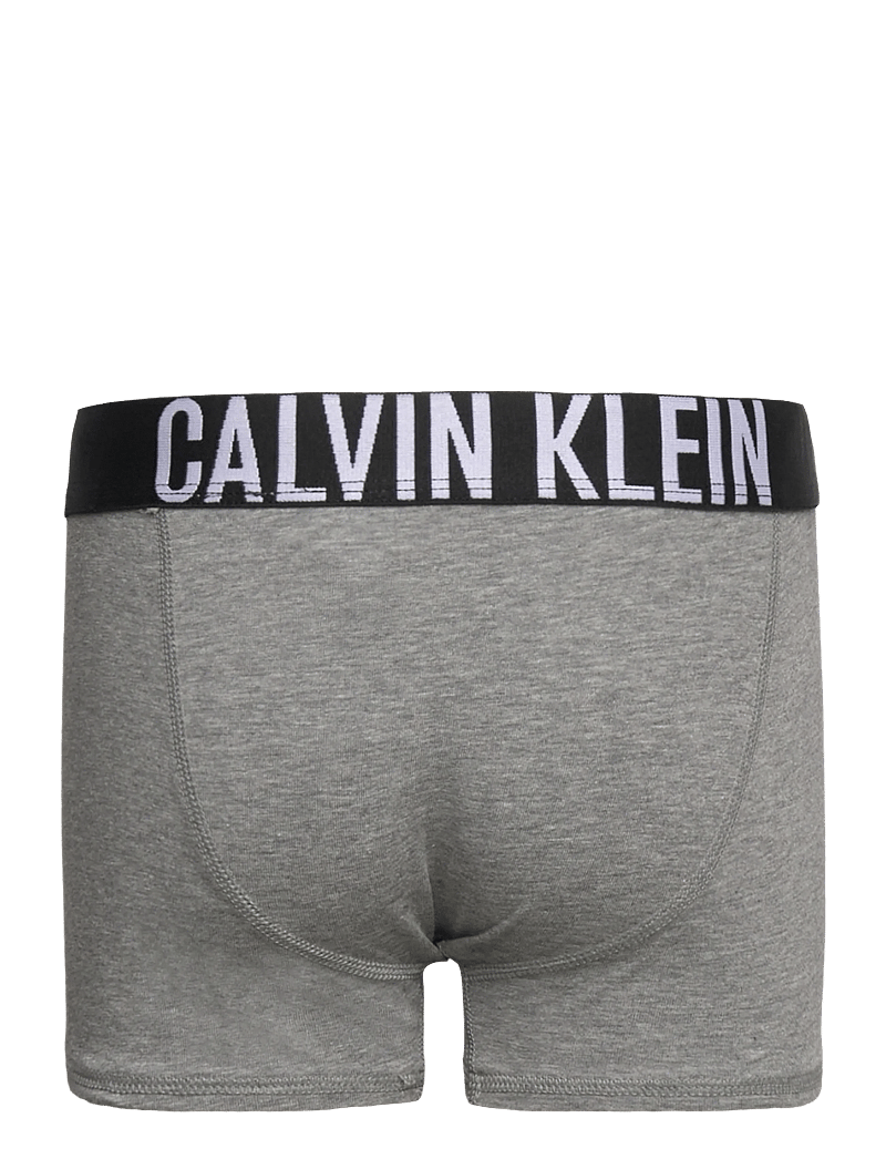 Calvin Klein - 2PK TRUNK - unterhosen - pvhblack/greyheather - 3