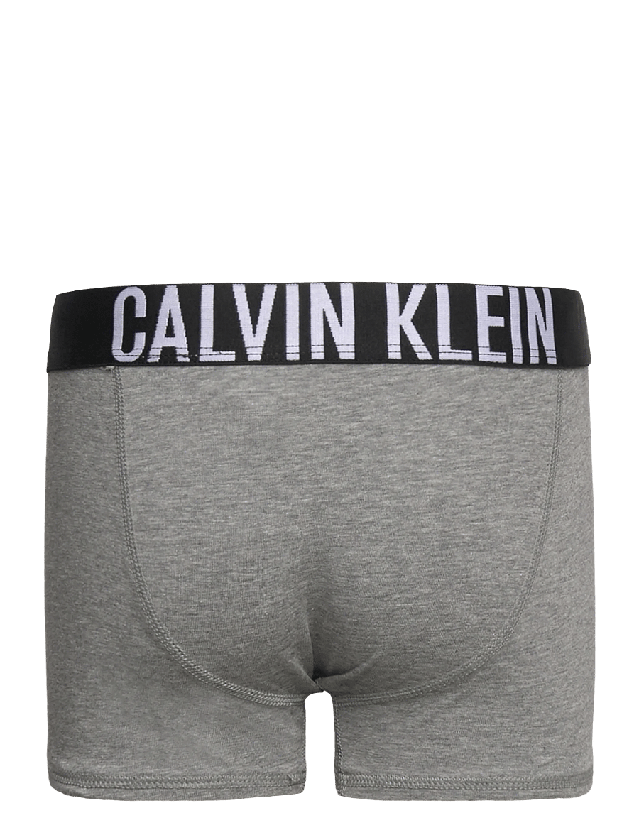 Calvin Klein - 2PK TRUNK - aluspüksid - pvhblack greyheather - 3