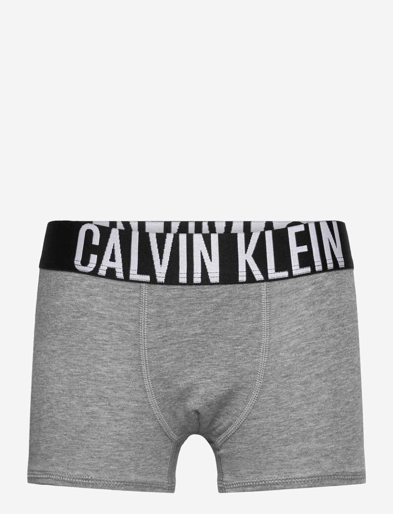 Calvin Klein - 2PK TRUNK - unterteile - trooper/greyheather - 2