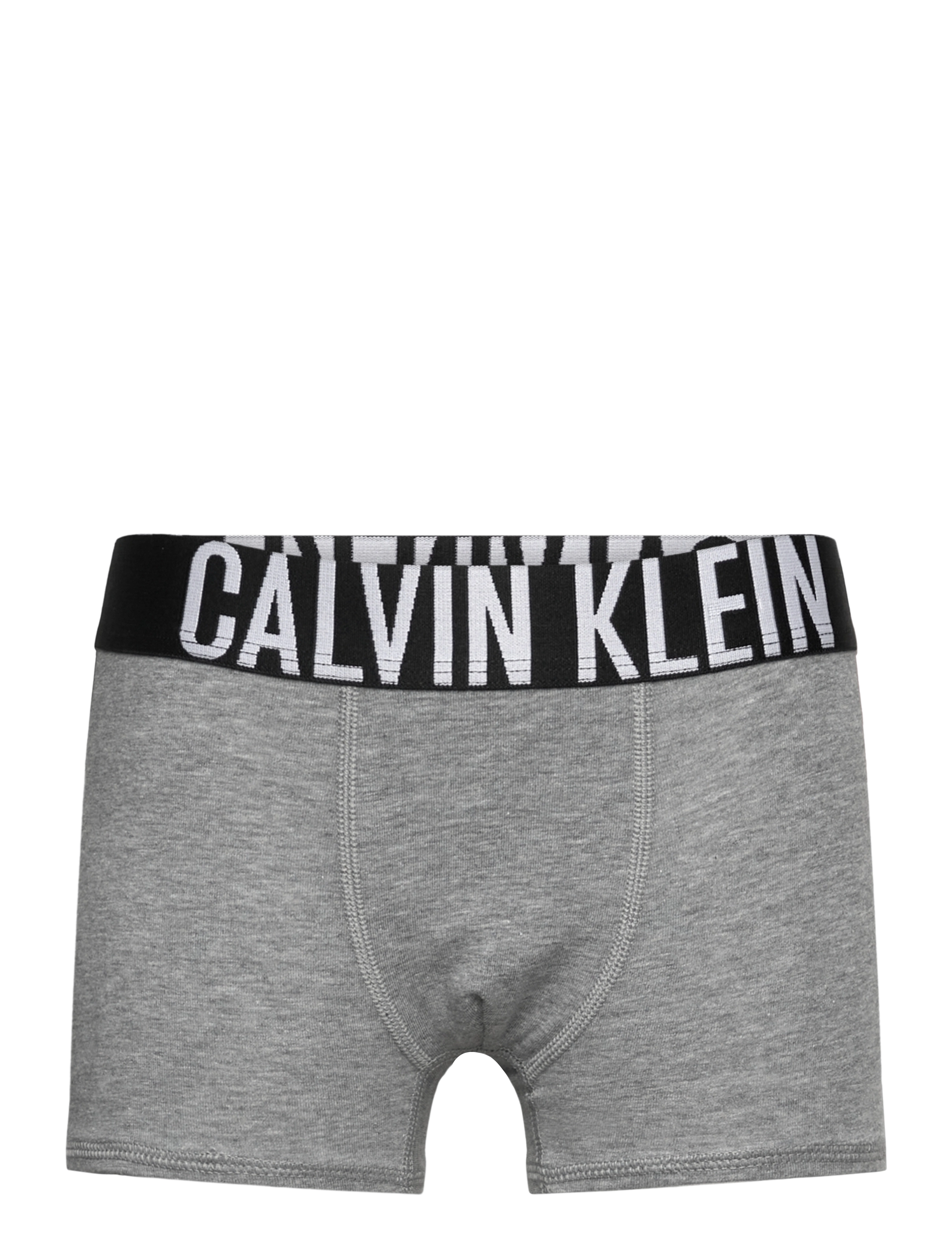 Calvin Klein - 2PK TRUNK - underbukser - trooper/greyheather - 2