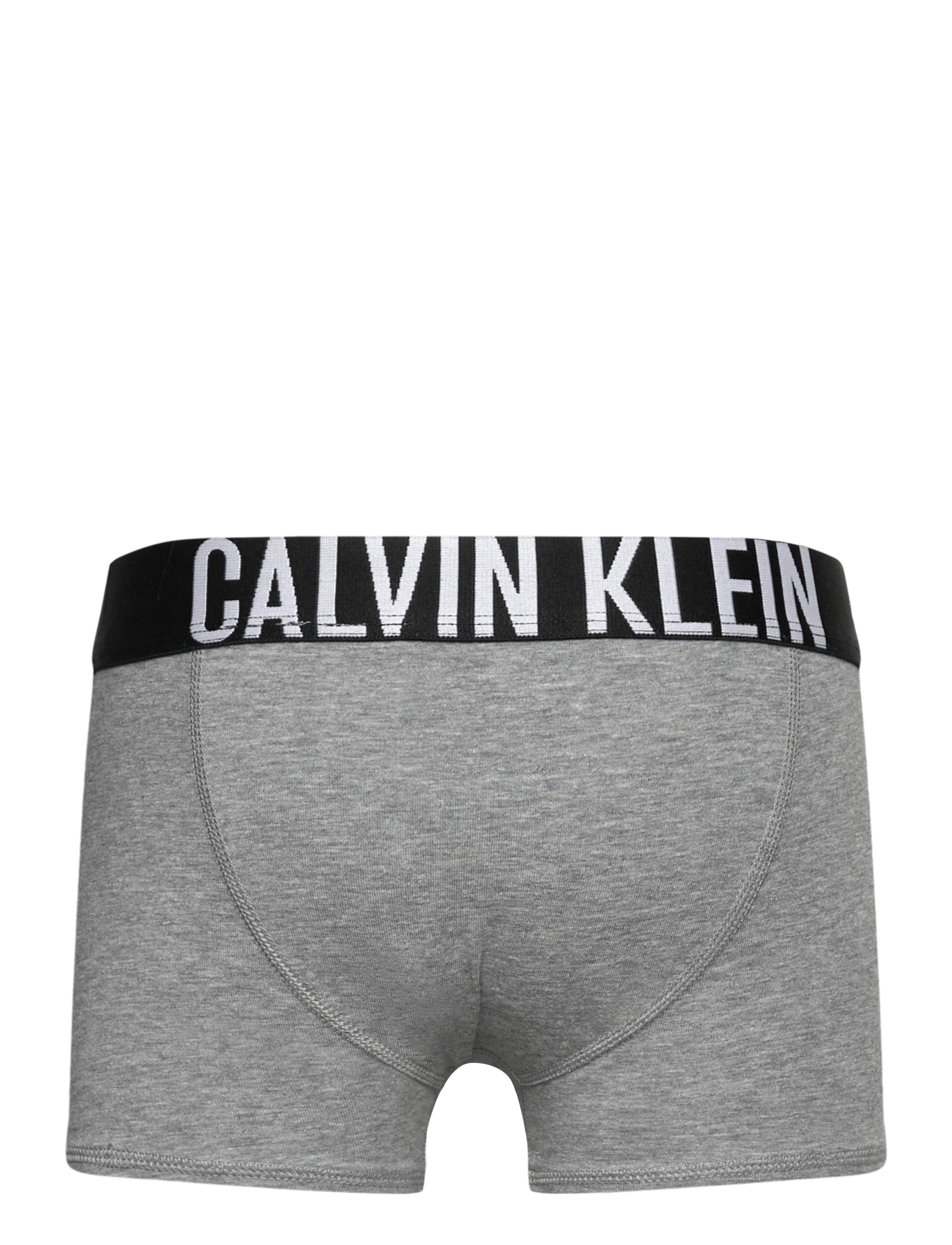 Calvin Klein - 2PK TRUNK - underbukser - trooper/greyheather - 3