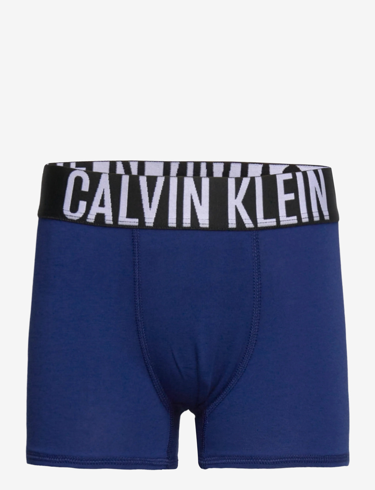 Calvin Klein - 3PK TRUNK - aluspesukomplektid - fadeddenim/boldblue/pvhblack - 2