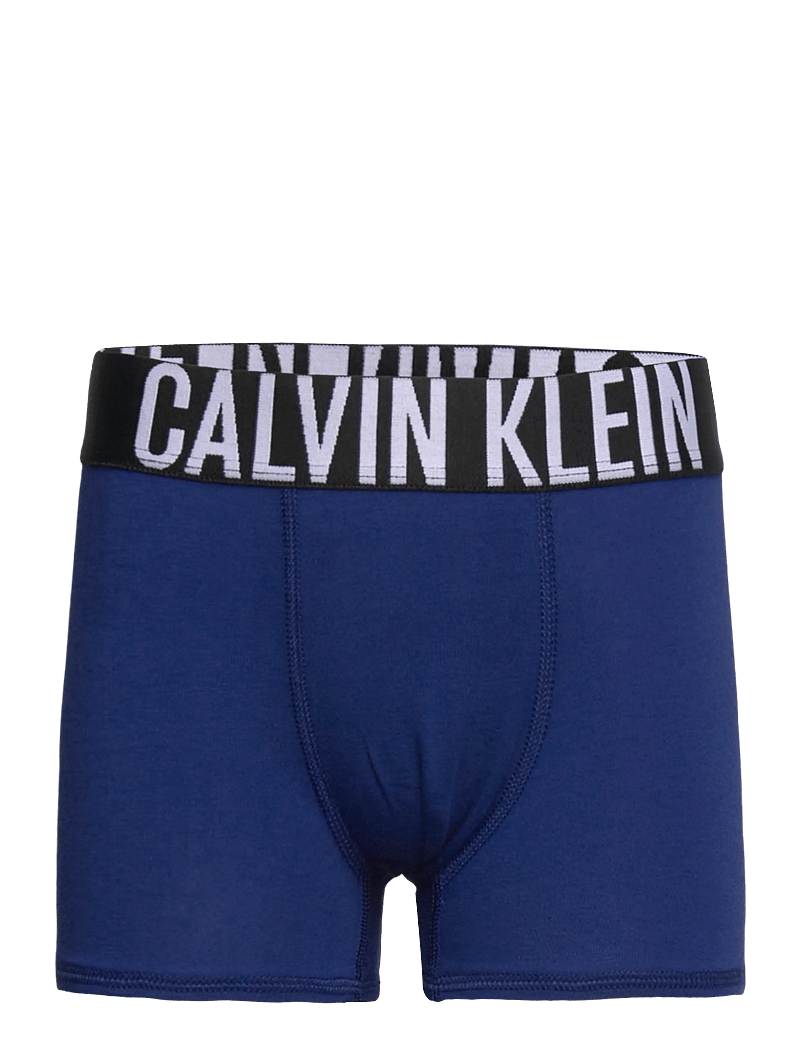 Calvin Klein - 3PK TRUNK - aluspesukomplektid - fadeddenim/boldblue/pvhblack - 2