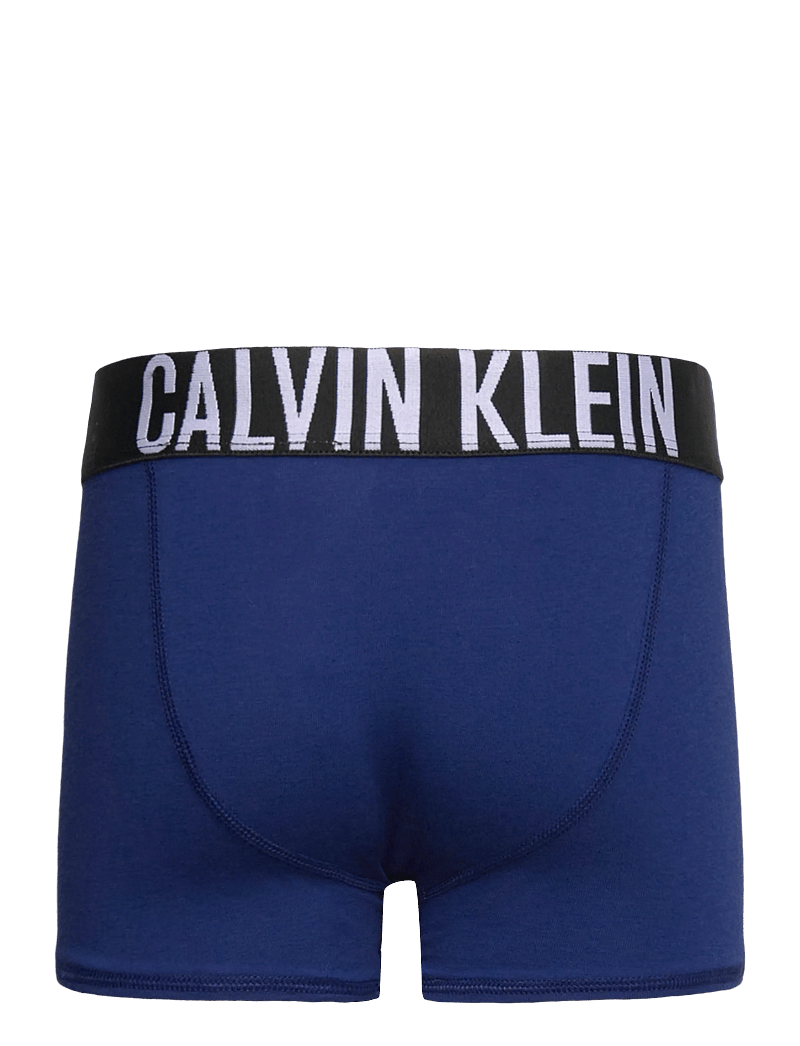 Calvin Klein - 3PK TRUNK - aluspesukomplektid - fadeddenim/boldblue/pvhblack - 3