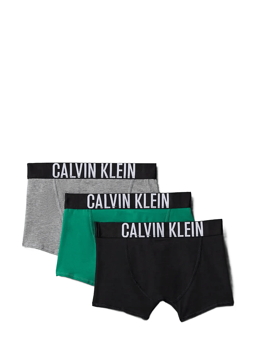 Calvin Klein - 3PK TRUNK - undertøjssæt - lushmeadow black greyhtr - 0