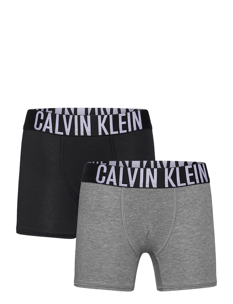 Calvin Klein - 2PK BOXER BRIEF - slips - pvhblack greyheather - 1