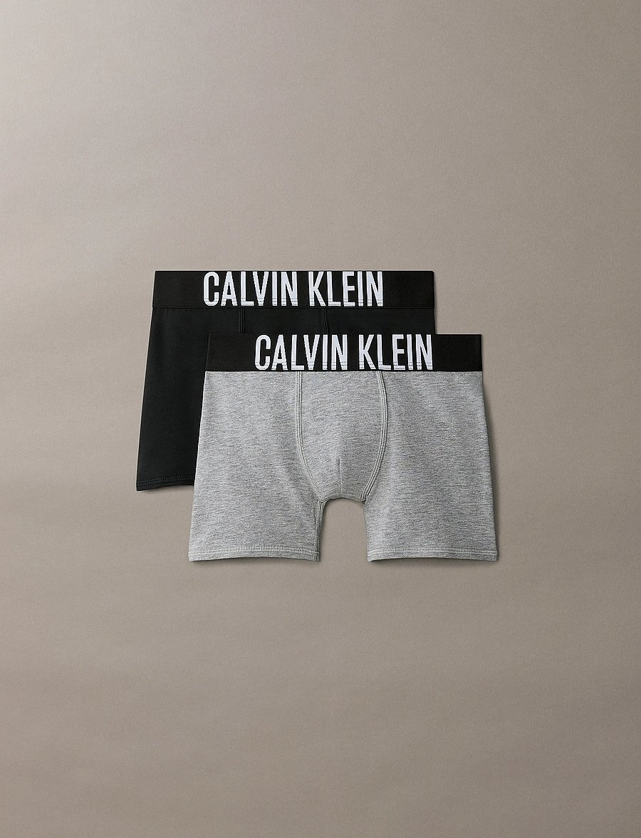 Calvin Klein - 2PK BOXER BRIEF - slips - pvhblack greyheather - 0
