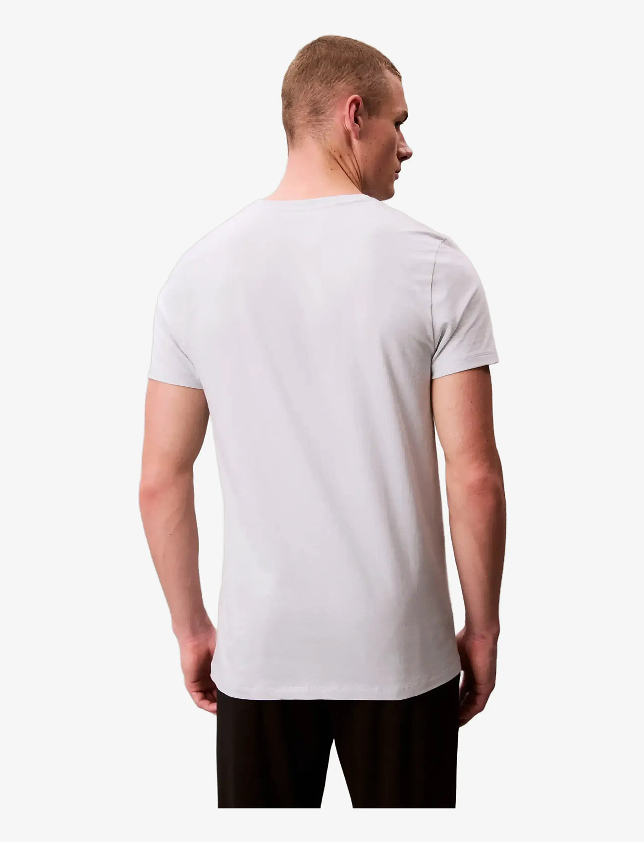 Calvin Klein - S/S CREW NECK 3PK - multipack t-shirts - micro chip/zoni beach/ink - 1