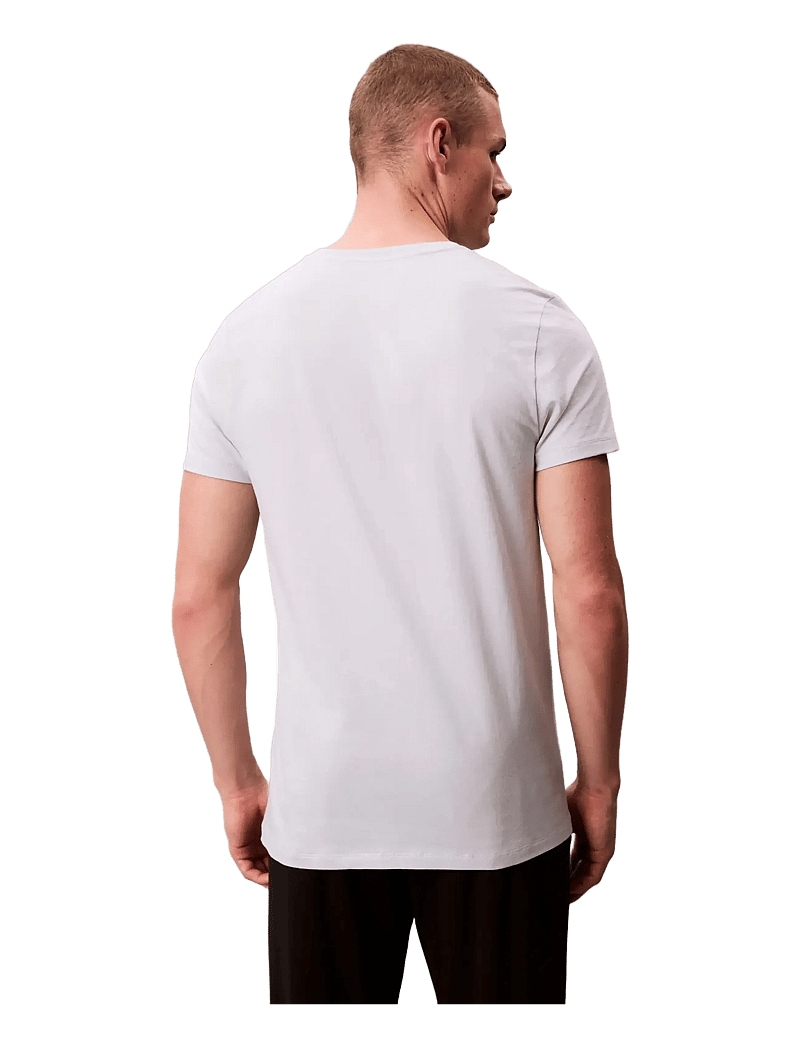 Calvin Klein - S/S CREW NECK 3PK - multipack t-shirts - micro chip/zoni beach/ink - 1