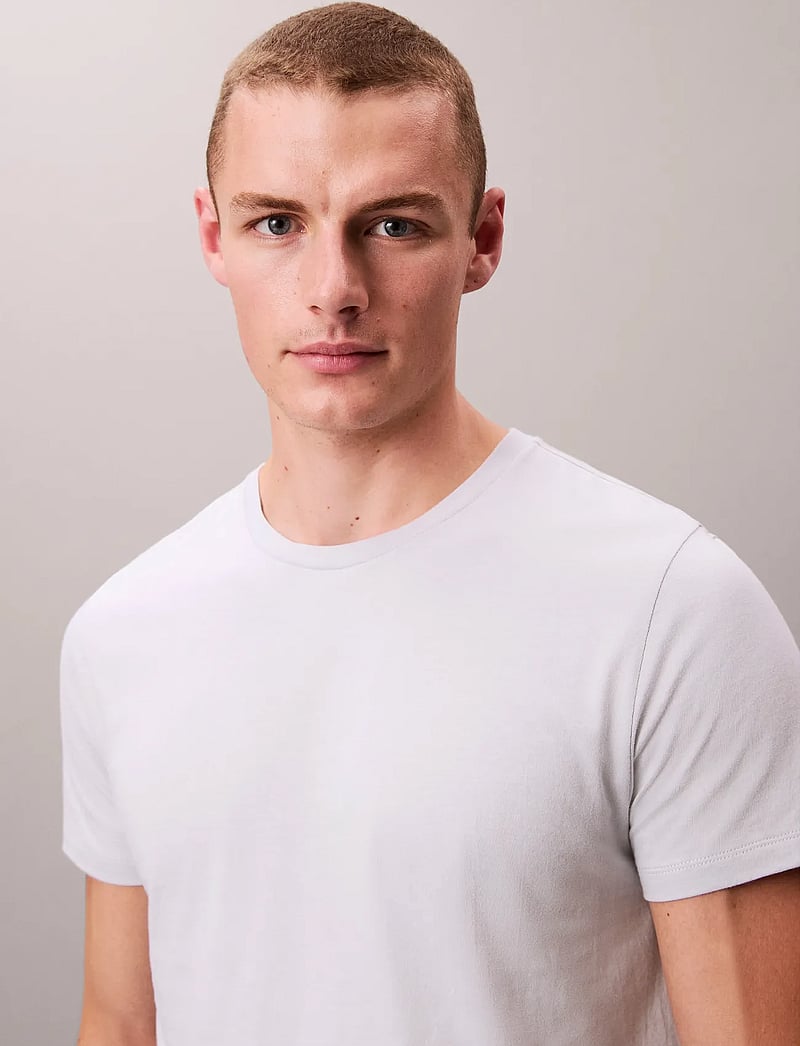 Calvin Klein - S/S CREW NECK 3PK - multipack t-shirts - micro chip/zoni beach/ink - 2