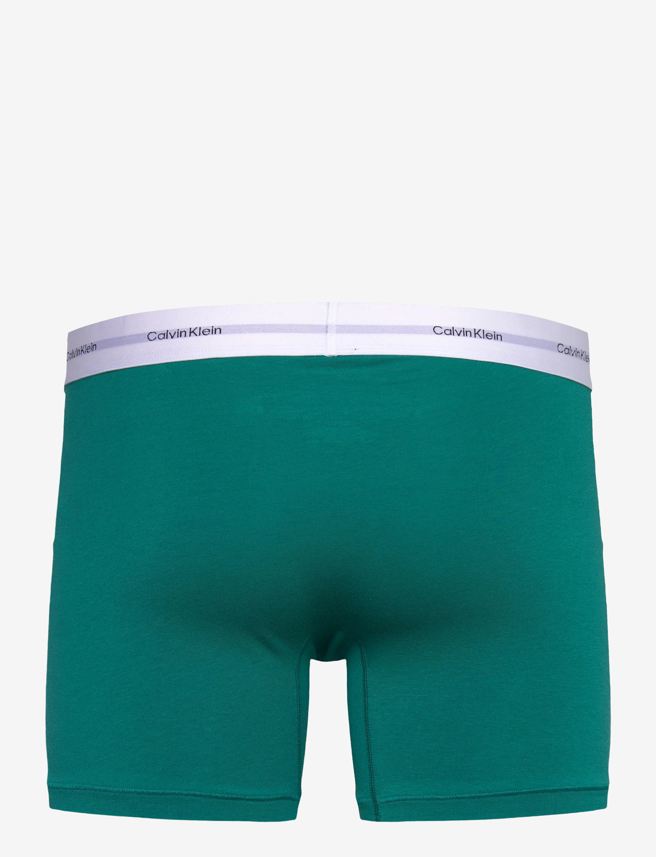 Calvin Klein - BOXER BRIEF 3PK - garden glade, gr heather, lively tl - 5