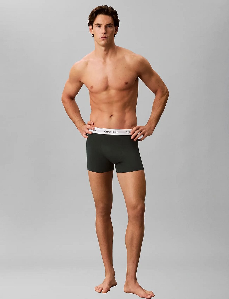 Calvin Klein - RELAXED FIT TRUNK 3PK - multipack kalsonger - darkest spruce peach bliss grey hea - 2