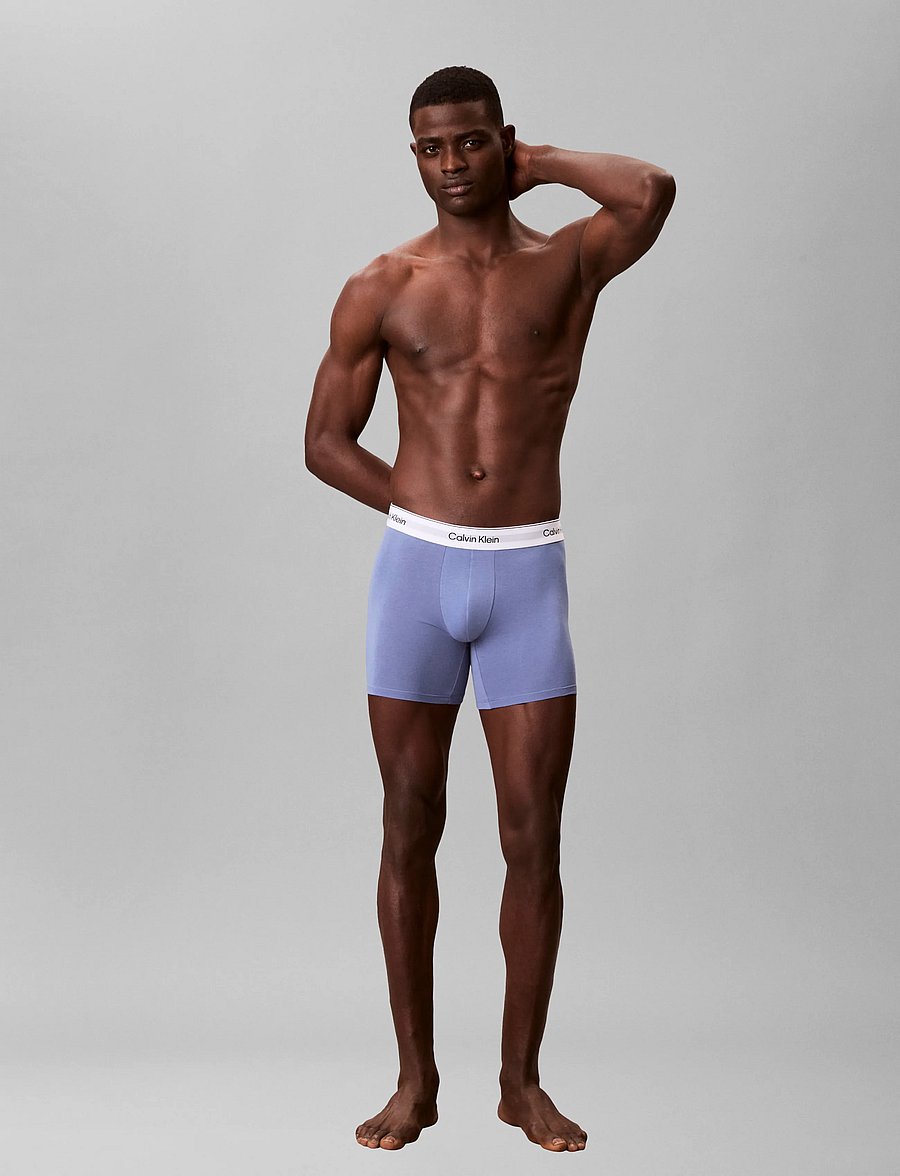 Calvin Klein - BOXER BRIEF 3PK - multipack underbukser - white blue tulip turbulence - 2