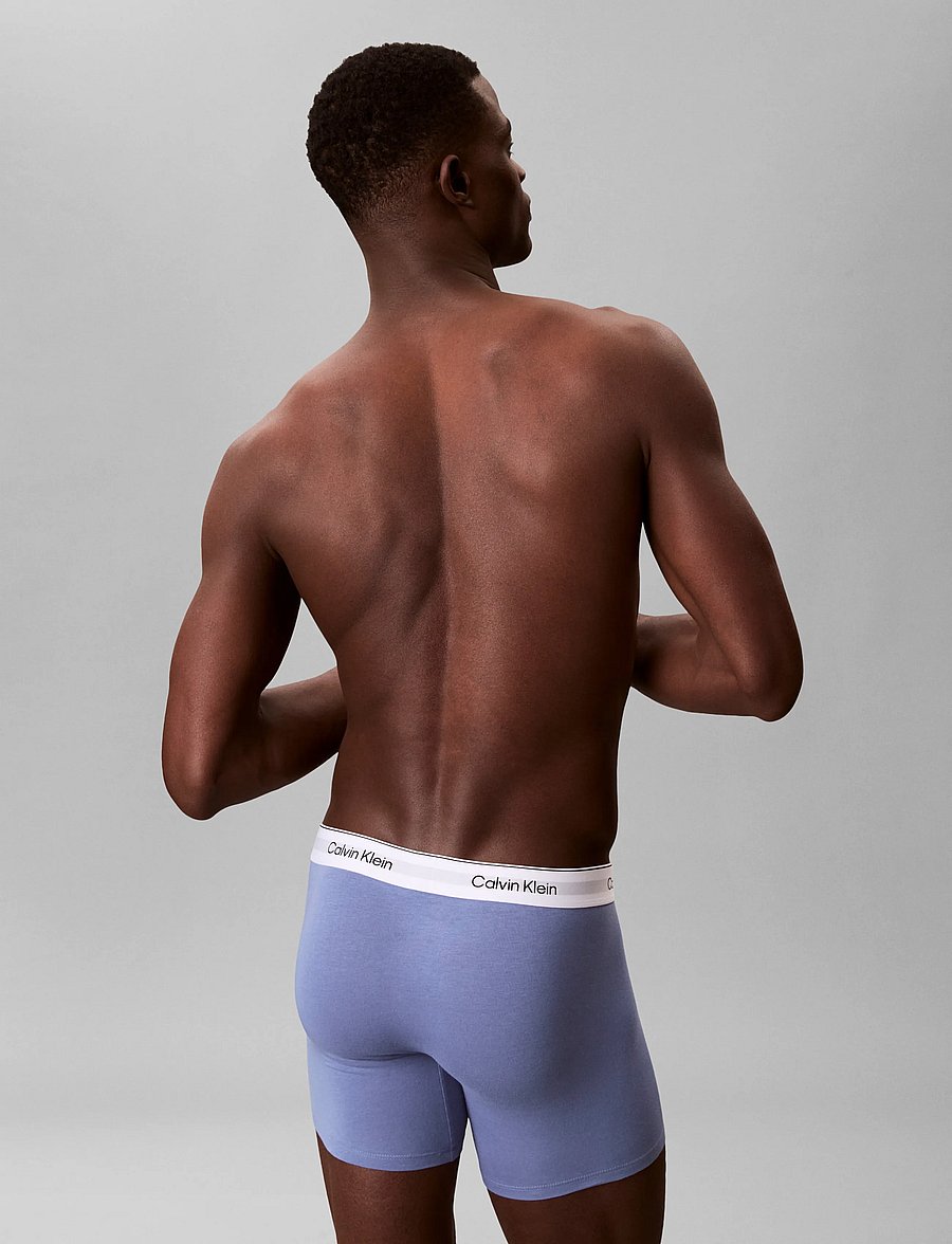 Calvin Klein - BOXER BRIEF 3PK - multipack underbukser - white blue tulip turbulence - 3