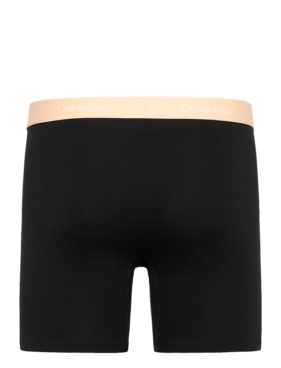 Calvin Klein - BOXER BRIEF 3PK - boxerkalsonger - black w darkest spruce wb black w - 3