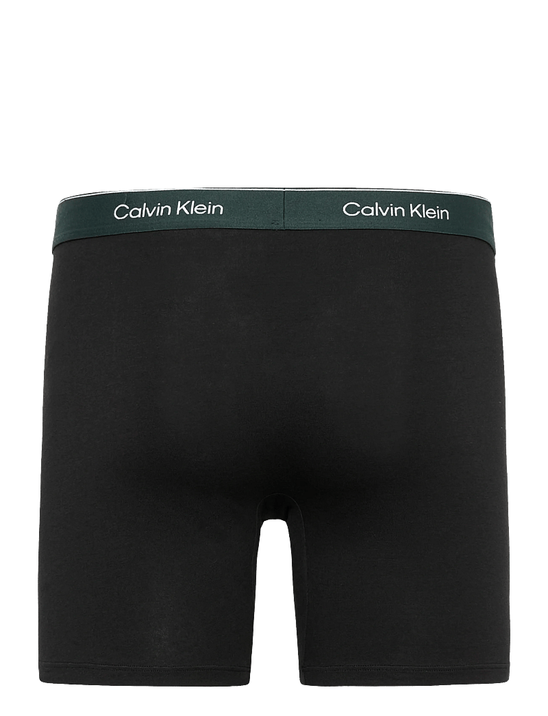 Calvin Klein - BOXER BRIEF 3PK - multipack underbukser - black w darkest spruce wb black w - 5