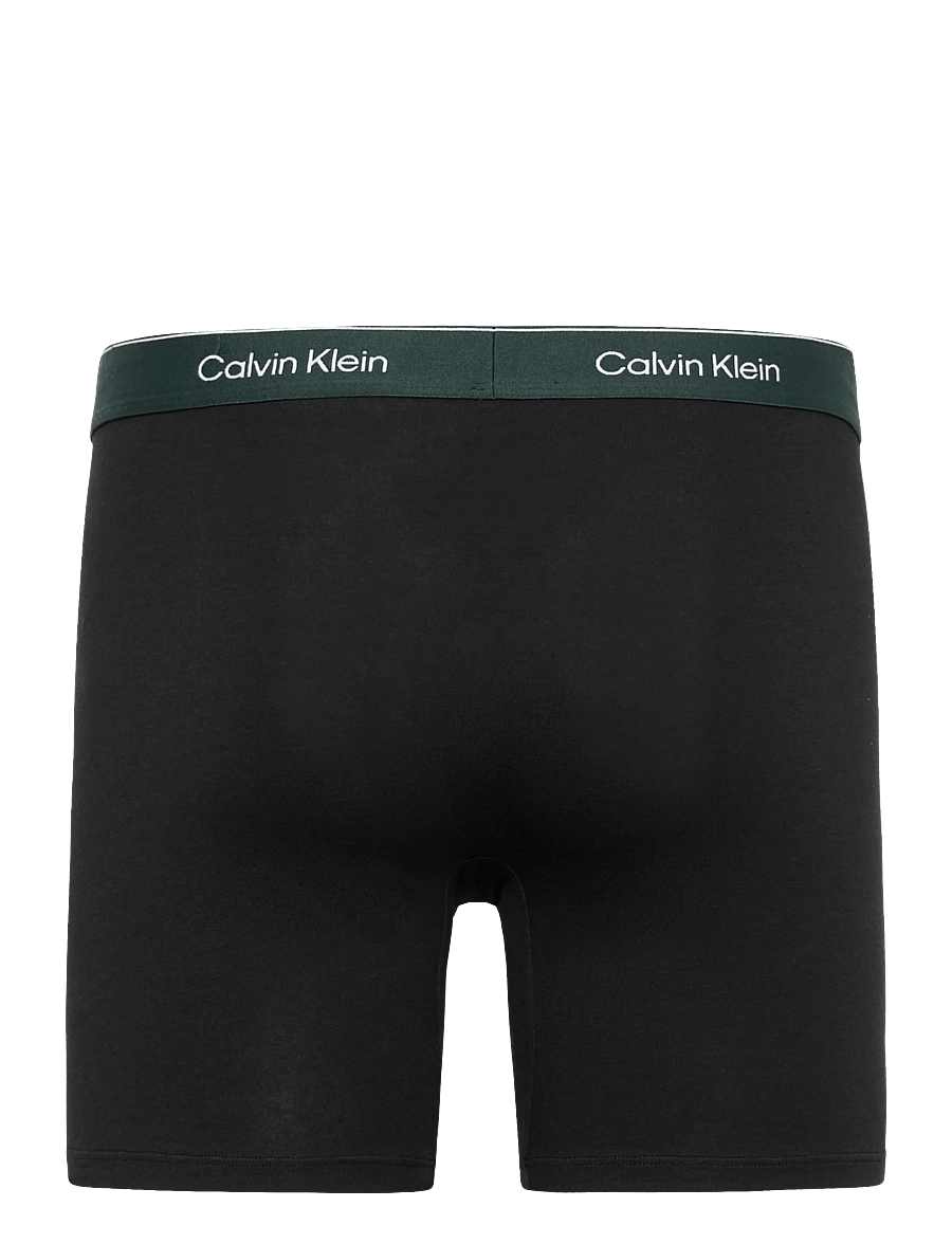 Calvin Klein - BOXER BRIEF 3PK - multipack underbukser - black w darkest spruce wb black w - 5