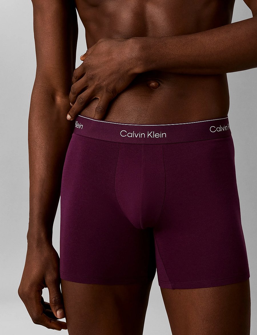 Calvin Klein - BOXER BRIEF 3PK - multipack underbukser - black harbor mist dark purple w dt - 2