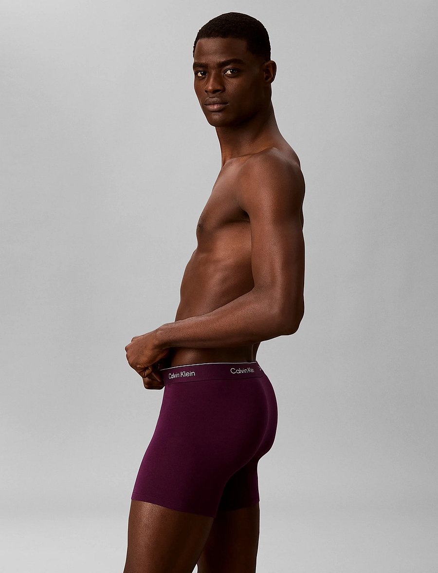 Calvin Klein - BOXER BRIEF 3PK - multipack underbukser - black harbor mist dark purple w dt - 4