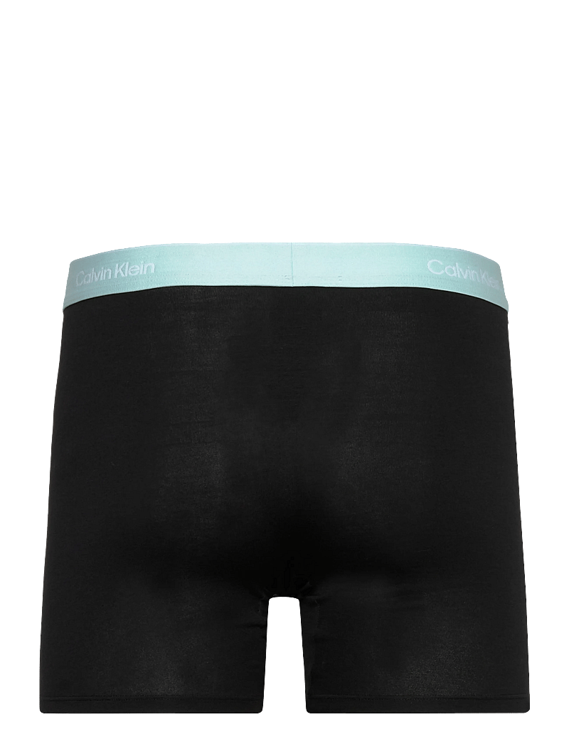 Calvin Klein - BOXER BRIEF 3PK - apatinių komplektas - black bodies w sea spray niagara m - 3