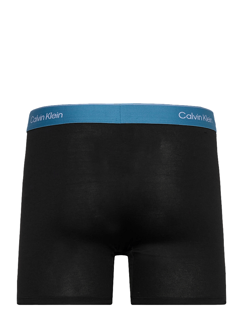 Calvin Klein - BOXER BRIEF 3PK - apatinių komplektas - black bodies w sea spray niagara m - 5