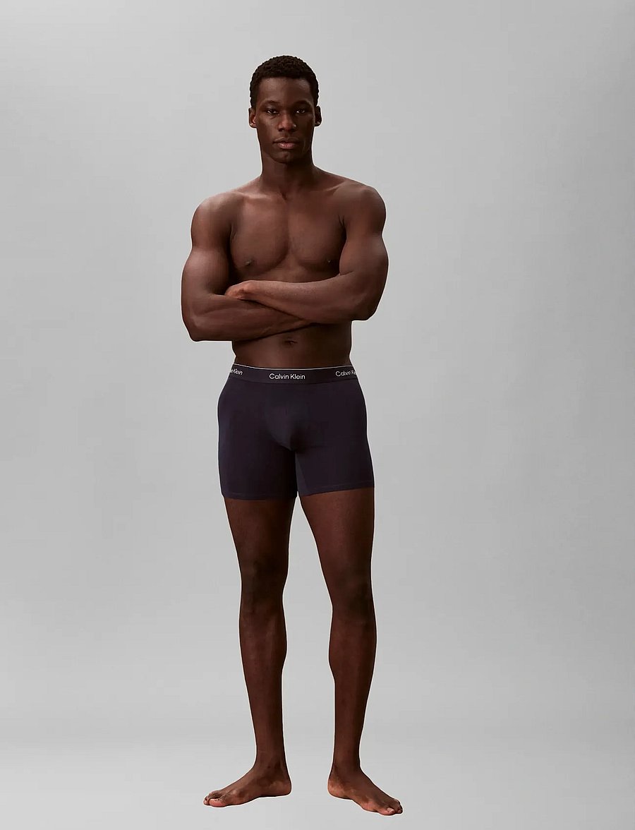 Calvin Klein - BOXER BRIEF 3PK - multipack underpants - shoreline w dtm wb misty grey w - 2