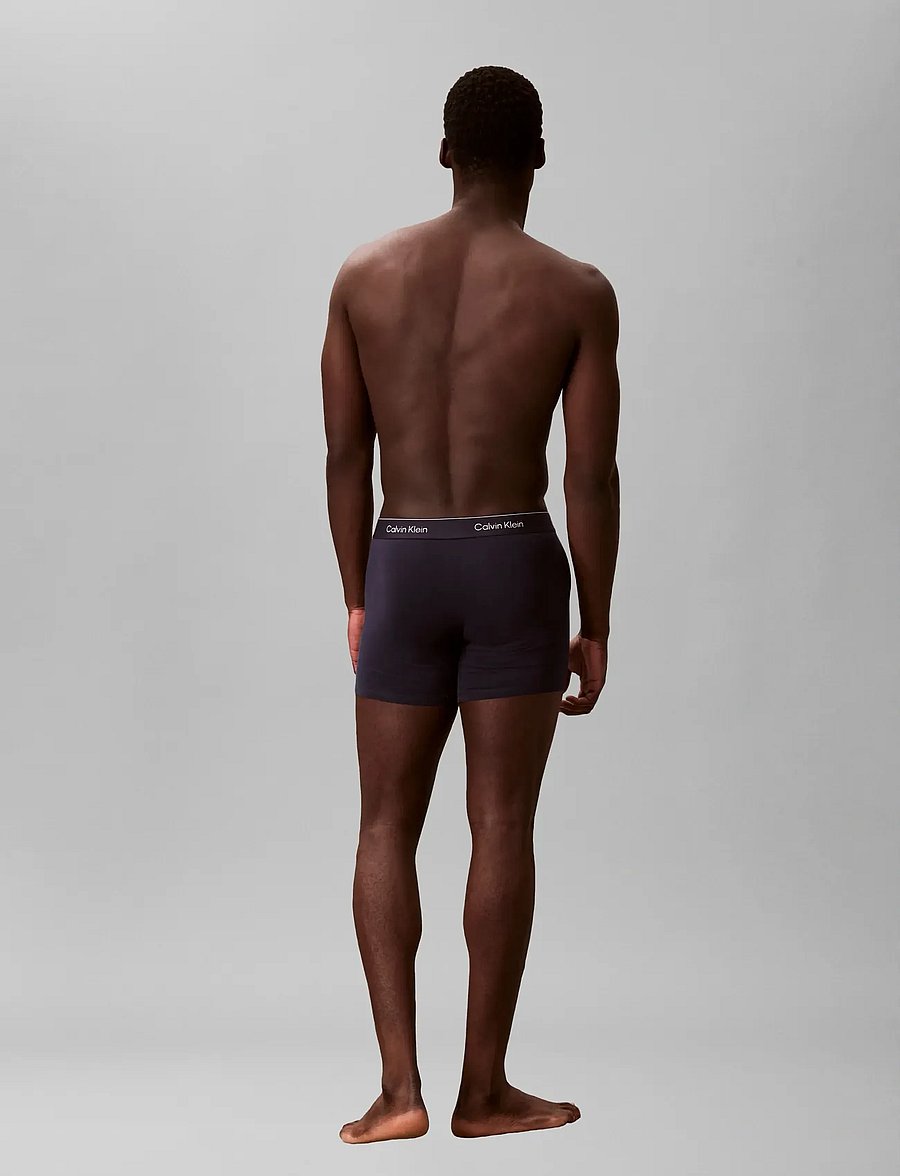 Calvin Klein - BOXER BRIEF 3PK - multipack underpants - shoreline w dtm wb misty grey w - 3
